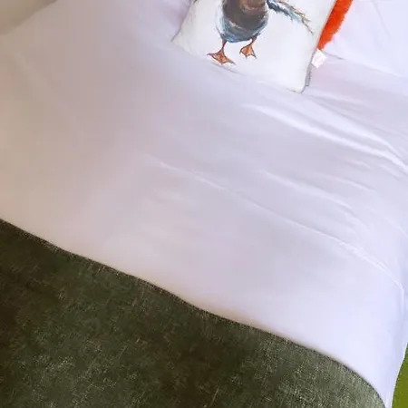 Paddock Pod - Sleeps 4 & Roofed Over Private Hot Tub & New Sauna 胶囊旅馆 *