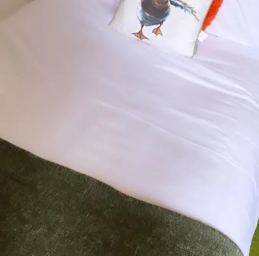 Paddock Pod - Sleeps 4 & Roofed Over Private Hot Tub & New Sauna Hotel cápsula *